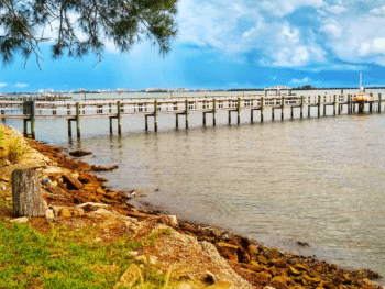 Redefining Florida Luxury in Dunedin